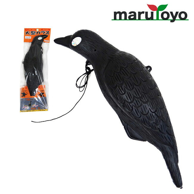 大型カラス – マルトヨコーポレーション