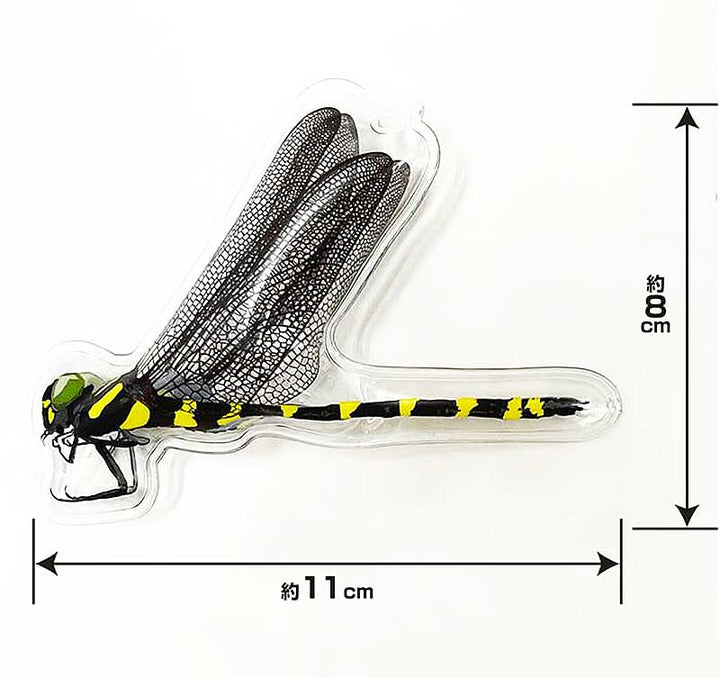 ミキロコス イヤーな虫の天敵 オニヤンマ兄弟