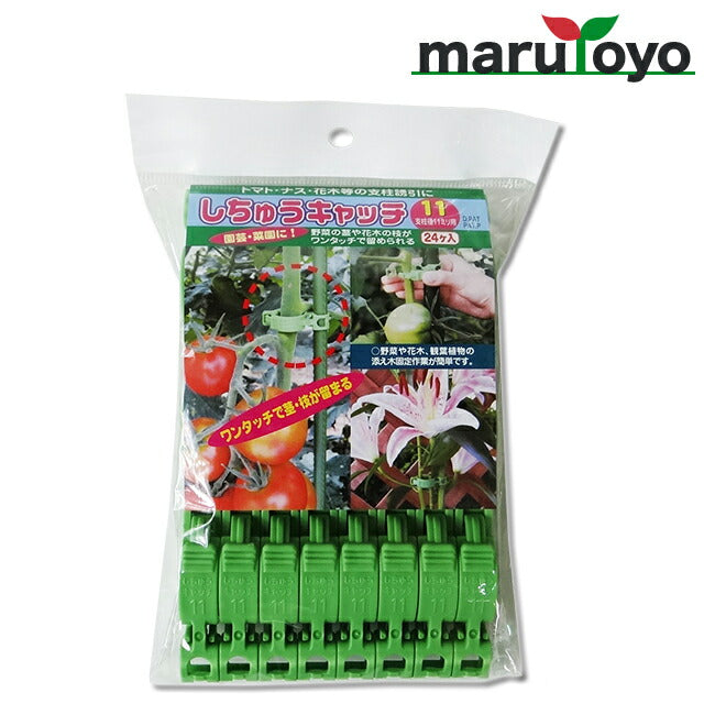 園芸用保持具 しちゅうキャッチ11 緑 24個入 S11G-24 – マルトヨ
