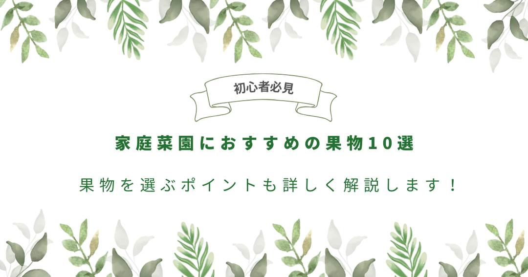 【初心者必見】家庭菜園におすすめの果物10選｜果物を選ぶポイントも詳しく解説します！