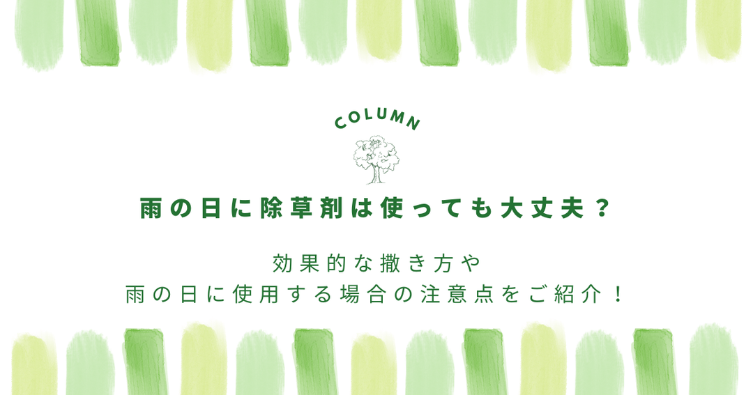 雨の日に除草剤は使っても大丈夫？効果的な撒き方や雨の日に使用する場合の注意点をご紹介！