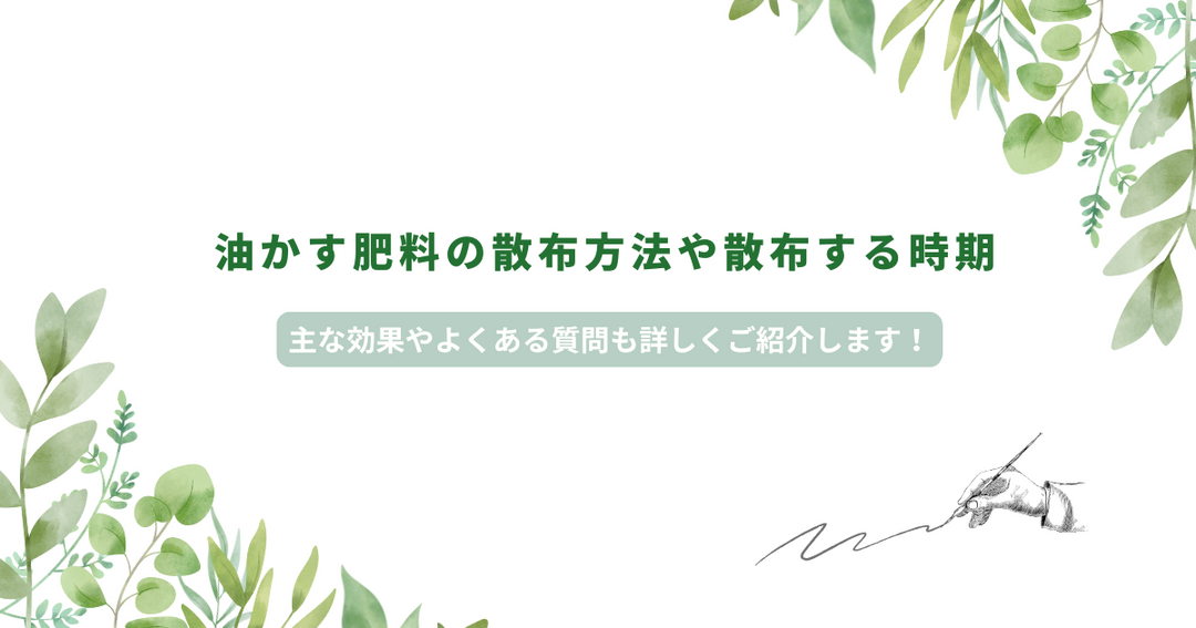 油かす肥料の散布方法や散布する時期｜主な効果やよくある質問も詳しくご紹介します！