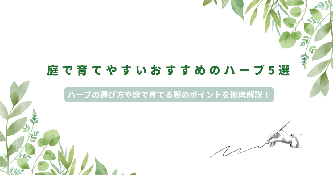 庭で育てやすいおすすめのハーブ5選｜ハーブの選び方や庭で育てる際のポイントを徹底解説！