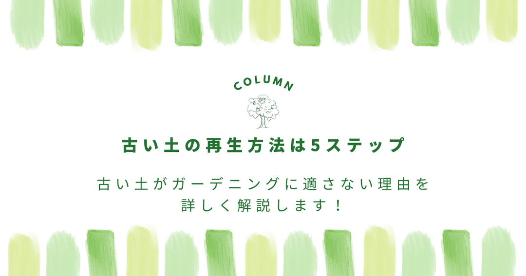 古い土の再生方法は5ステップ｜古い土がガーデニングに適さない理由を詳しく解説します！