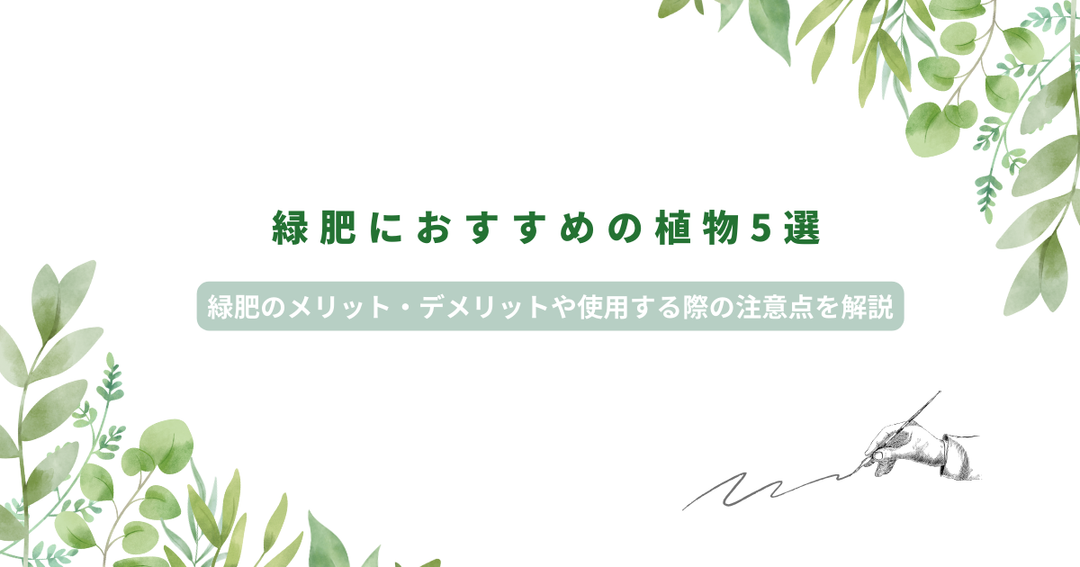緑肥におすすめの植物5選｜緑肥のメリット・デメリットや使用する際の注意点を徹底解説！