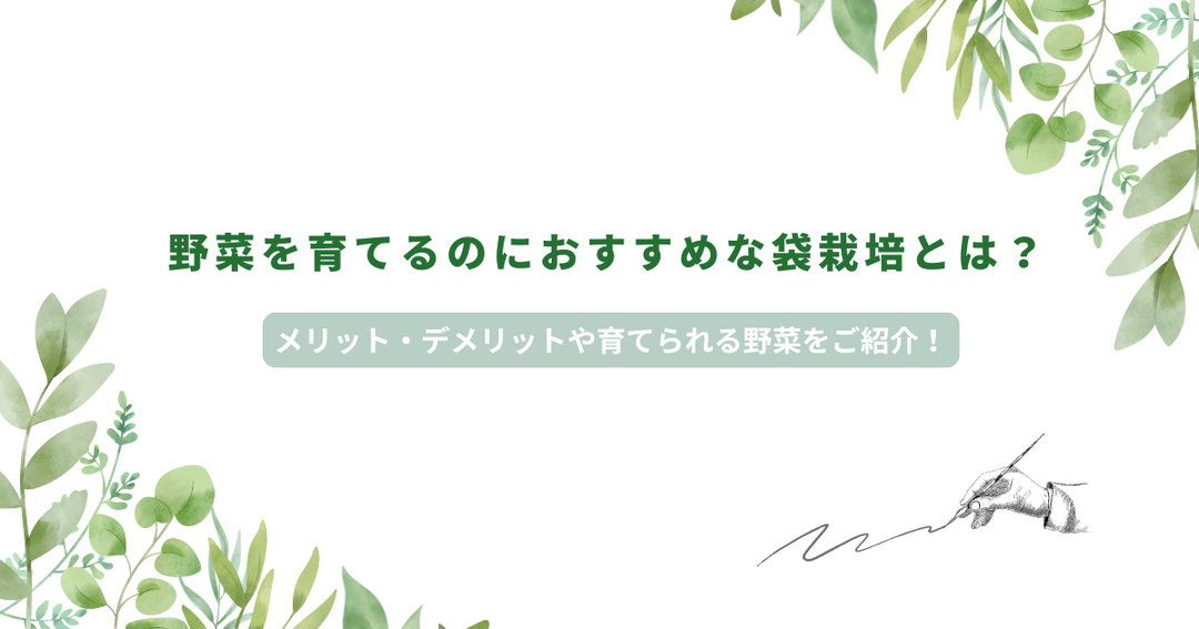 野菜を育てるのにおすすめな袋栽培とは？メリット・デメリットや育てられる野菜をご紹介！