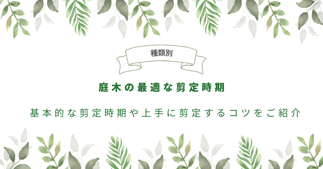 【種類別】庭木の最適な剪定時期｜基本的な剪定時期や上手に剪定するコツをご紹介！