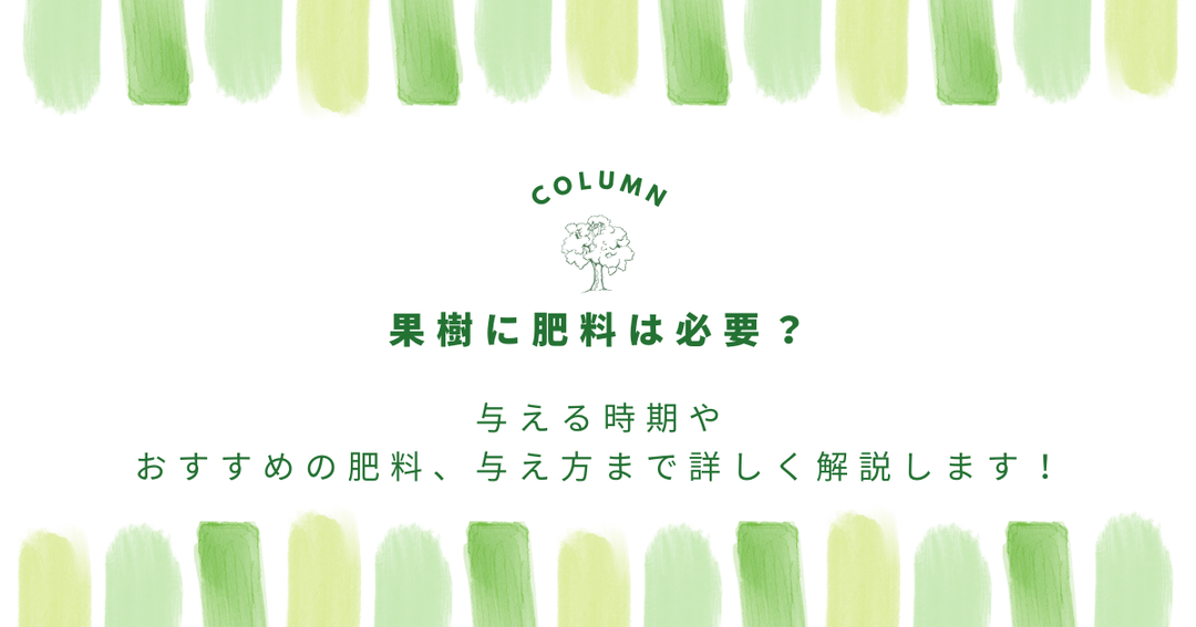 果樹に肥料は必要？与える時期やおすすめの肥料、与え方まで詳しく解説します！