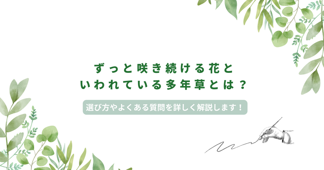 ずっと咲き続ける花といわれている多年草とは？｜選び方やよくある質問を詳しく解説します！