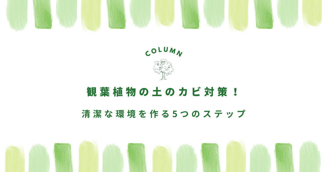 観葉植物の土のカビ対策！清潔な環境を作る5つのステップ
