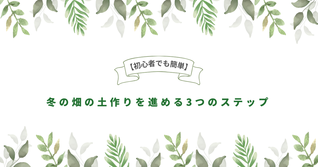 【初心者でも簡単】冬の畑の土作りを進める3つのステップ