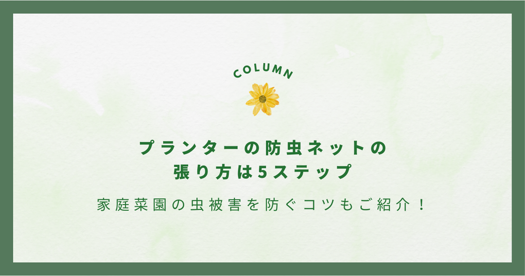 プランターの防虫ネットの張り方は5ステップ｜家庭菜園の虫被害を防ぐコツもご紹介！
