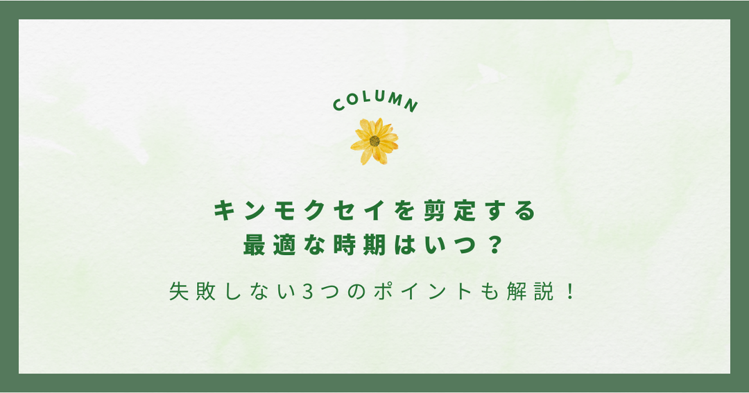 キンモクセイを剪定する最適な時期はいつ？失敗しない3つのポイントも解説！