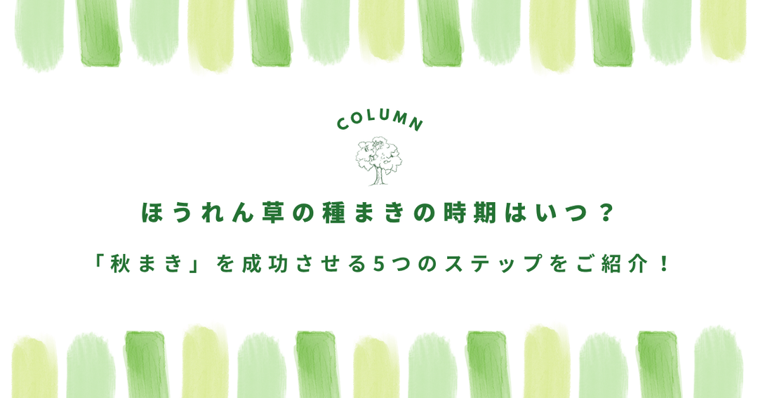 ほうれん草の種まきの時期はいつ？「秋まき」を成功させる5つのステップをご紹介！