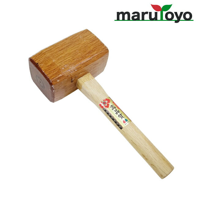 161036.jpg?v=1714367721&width=900