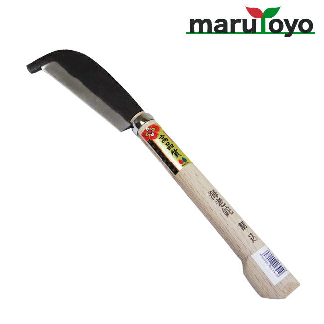 199036.jpg?v=1714376569&width=900