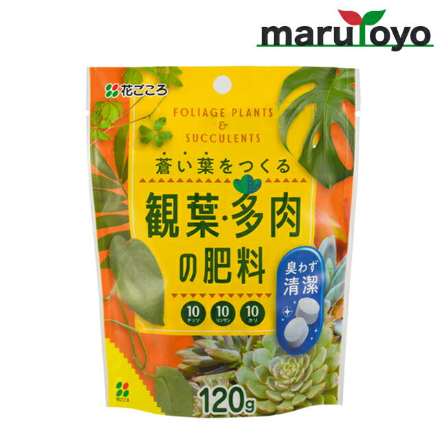 花ごころ 蒼い葉をつくる 観葉・多肉の肥料 120g