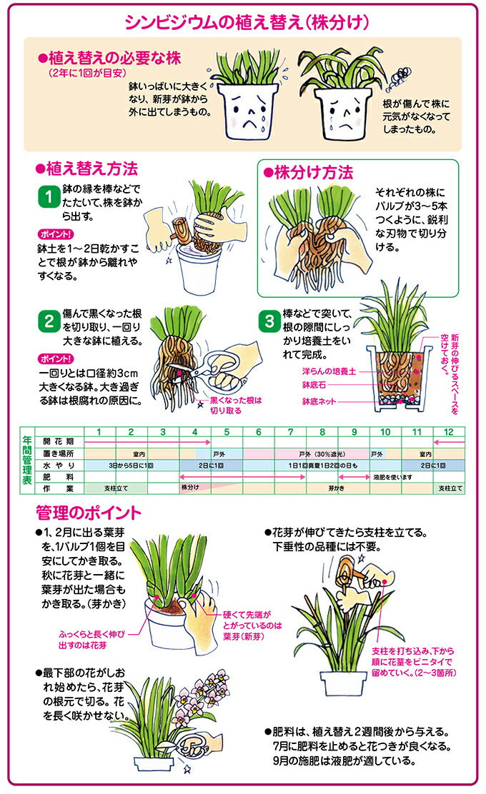 花ごころ 洋らんの培養土 5L