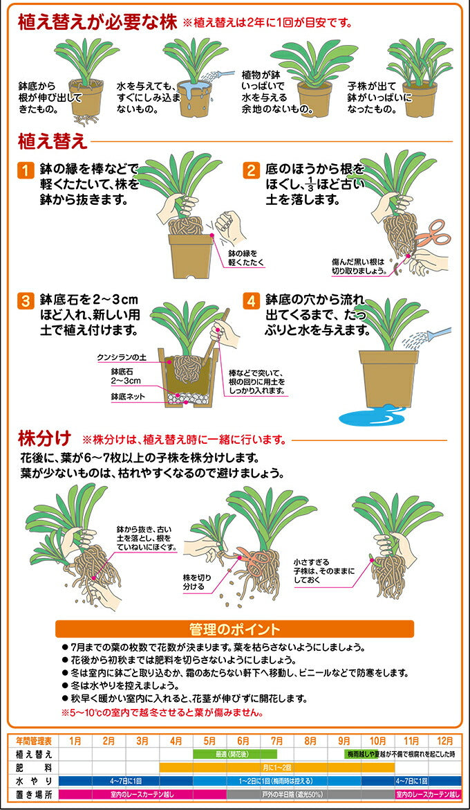 花ごころ クンシランの土 5L