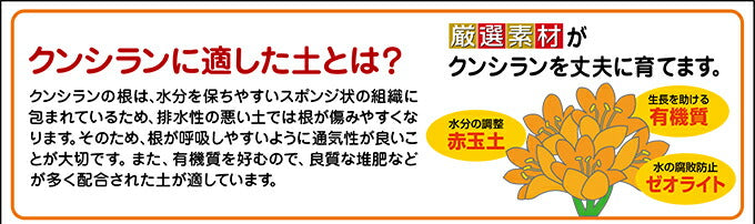 花ごころ クンシランの土 12L