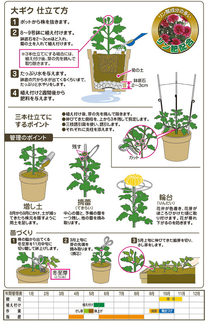 花ごころ 菊の土お見事！ 12L