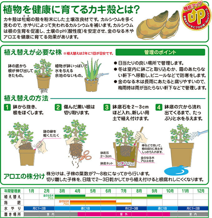 花ごころ 金のなる木アロエの土 12L