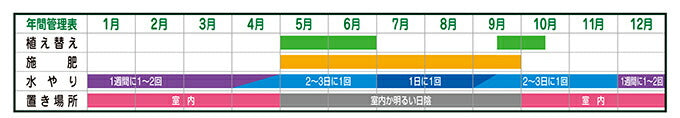 花ごころ 観音竹・棕櫚竹の土 5L