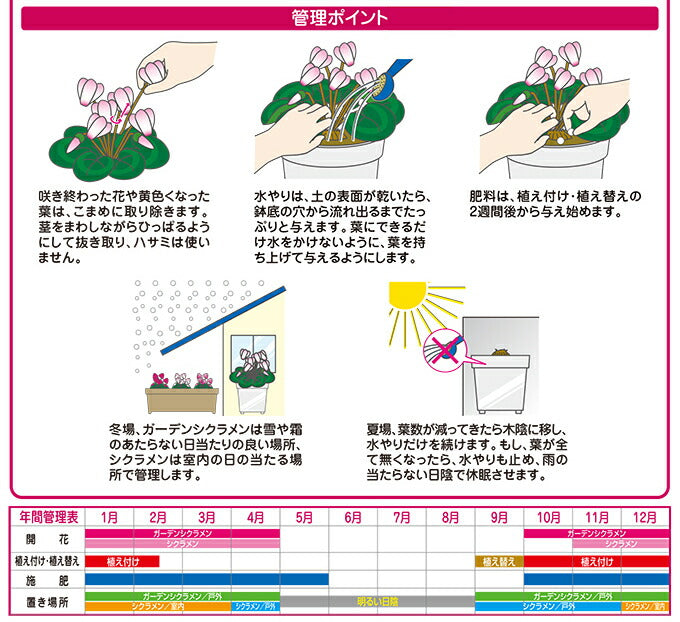 花ごころ ガーデンシクラメン・シクラメンの土 5L