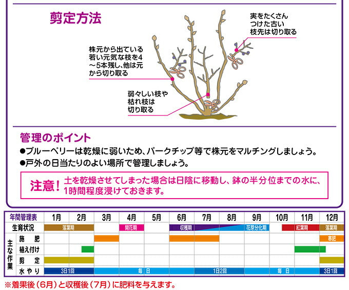 花ごころ ブルーベリーの土 12L