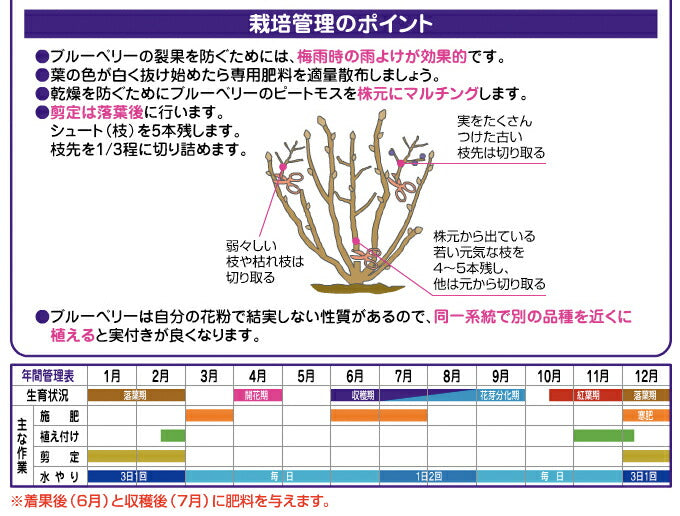 花ごころ ブルーベリーピートモス 5L