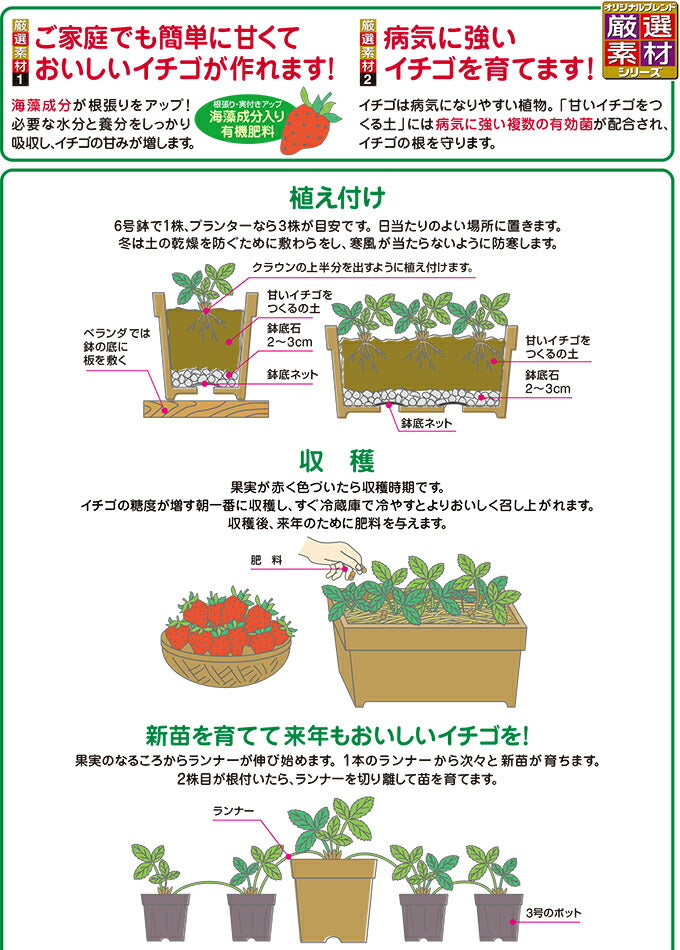 花ごころ 甘いイチゴをつくる土 12L