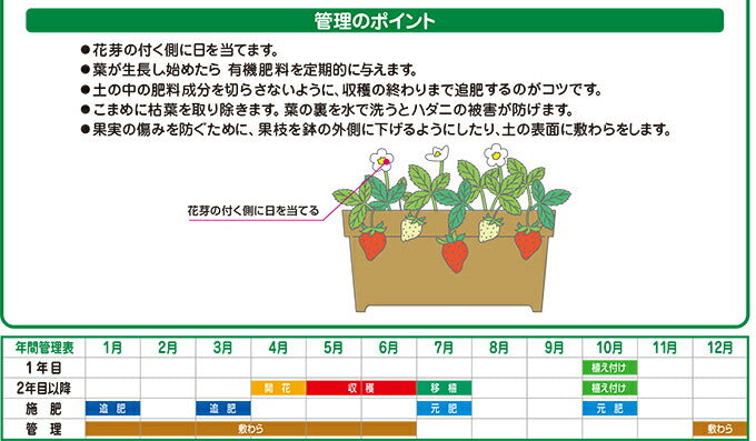 花ごころ 甘いイチゴをつくる土 12L