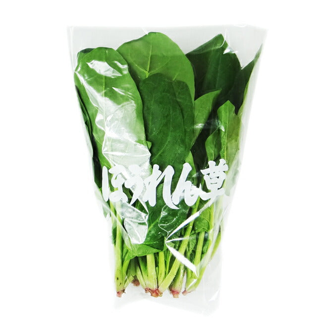 NIC FG OPP ボードン 三角袋 大 #20×280/120×300 文字「ほうれん草