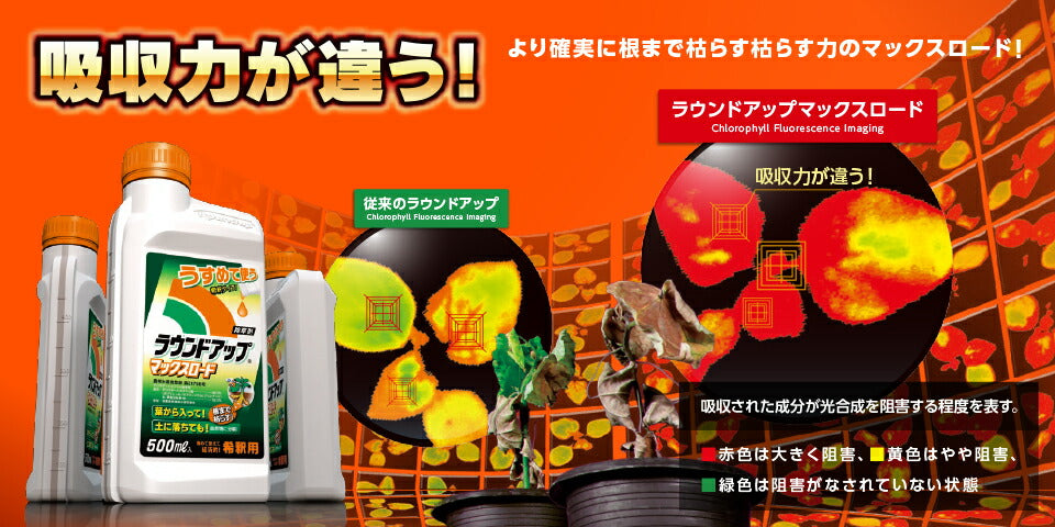 日産化学 ラウンドアップマックスロード 5.5L – マルトヨコーポレーション