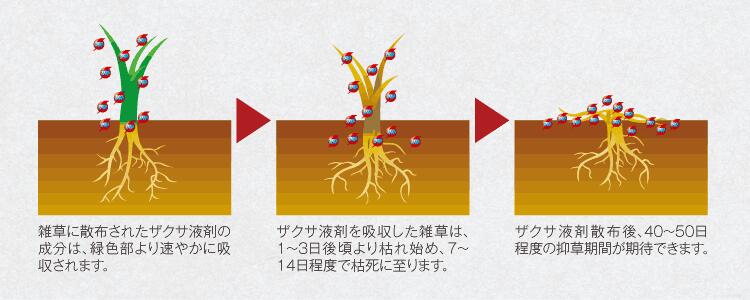 Ｍｅｉｊｉ ザクサ液剤 500ml