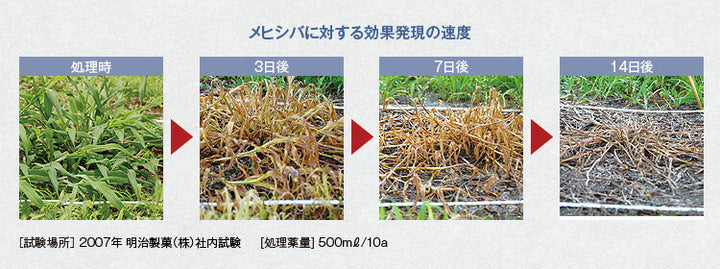 Ｍｅｉｊｉ ザクサ液剤 500ml