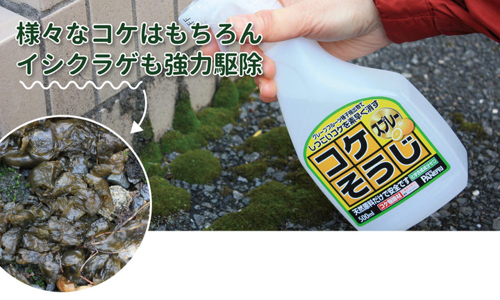 パネフリ コケそうじ濃縮液 500ml