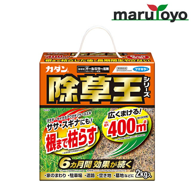 フマキラー オールキラー粒剤 除草王 2KG