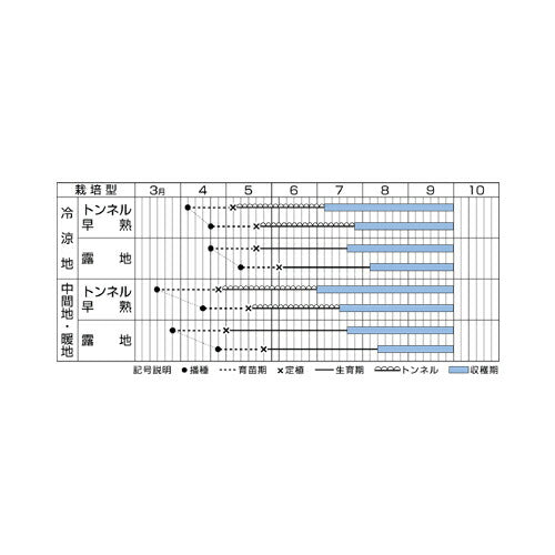 マルトヨの野菜苗 トウガン 姫とうがん 9cmポット苗