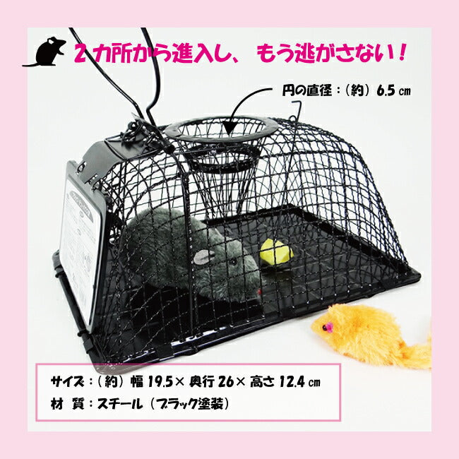 コンパル ブラック・チューハウス型 – マルトヨコーポレーション