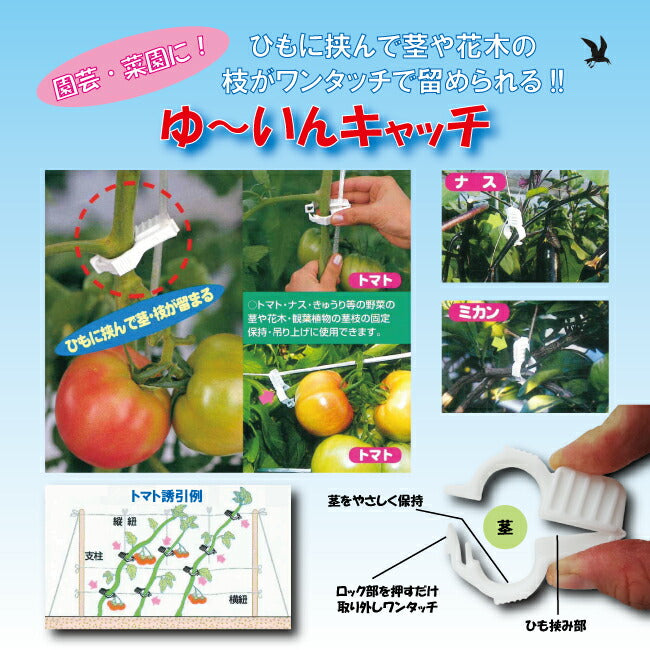 園芸用保持具 紐誘引用 ゆ～いんキャッチ 白 24個入 YW-24