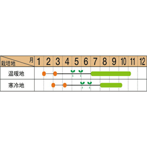 マルトヨの野菜苗 ピーマン カラーピーマン フルーピーイエロー 9cmポット苗